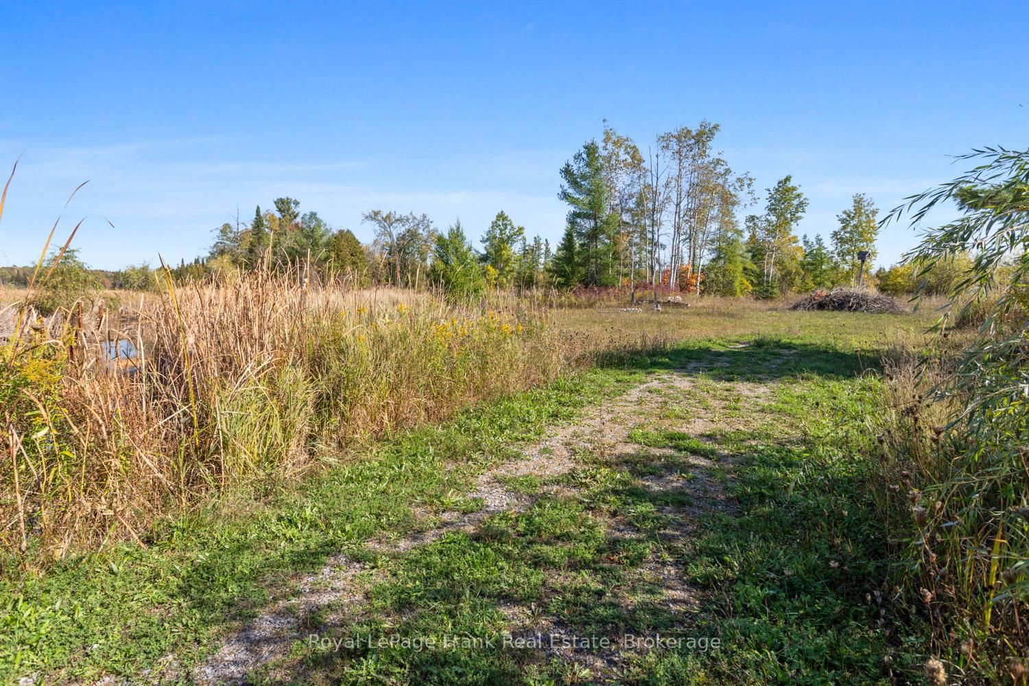 15880 62 Highway • Madoc, ON photo 30