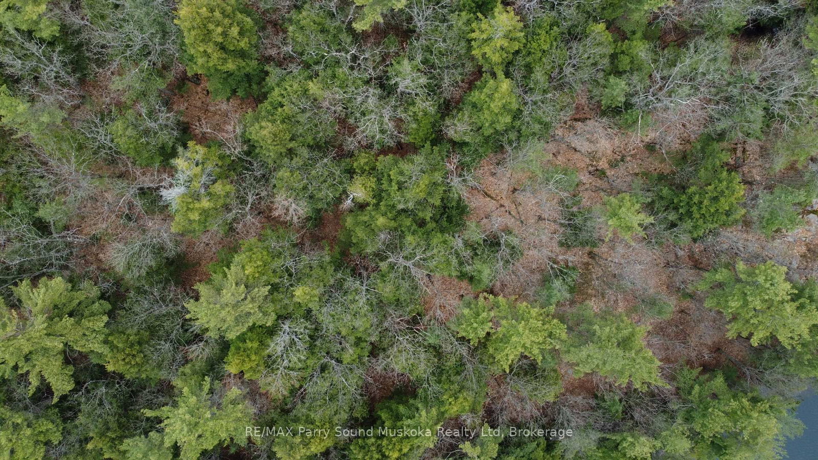 4 Wee Gee Wa Road • Seguin, ON photo 15