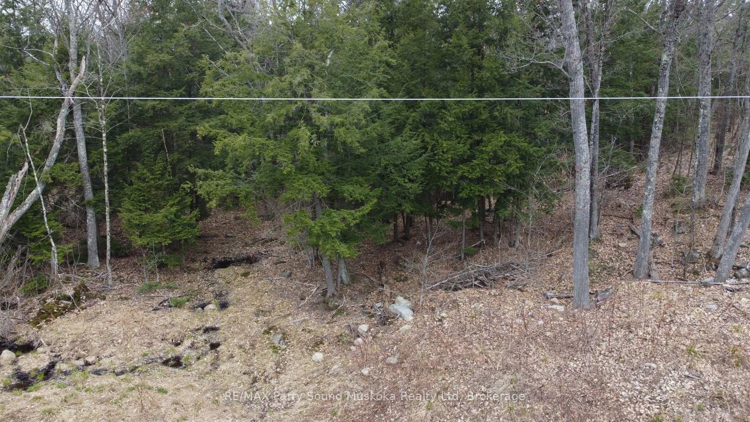 4 Wee Gee Wa Road • Seguin, ON photo 18