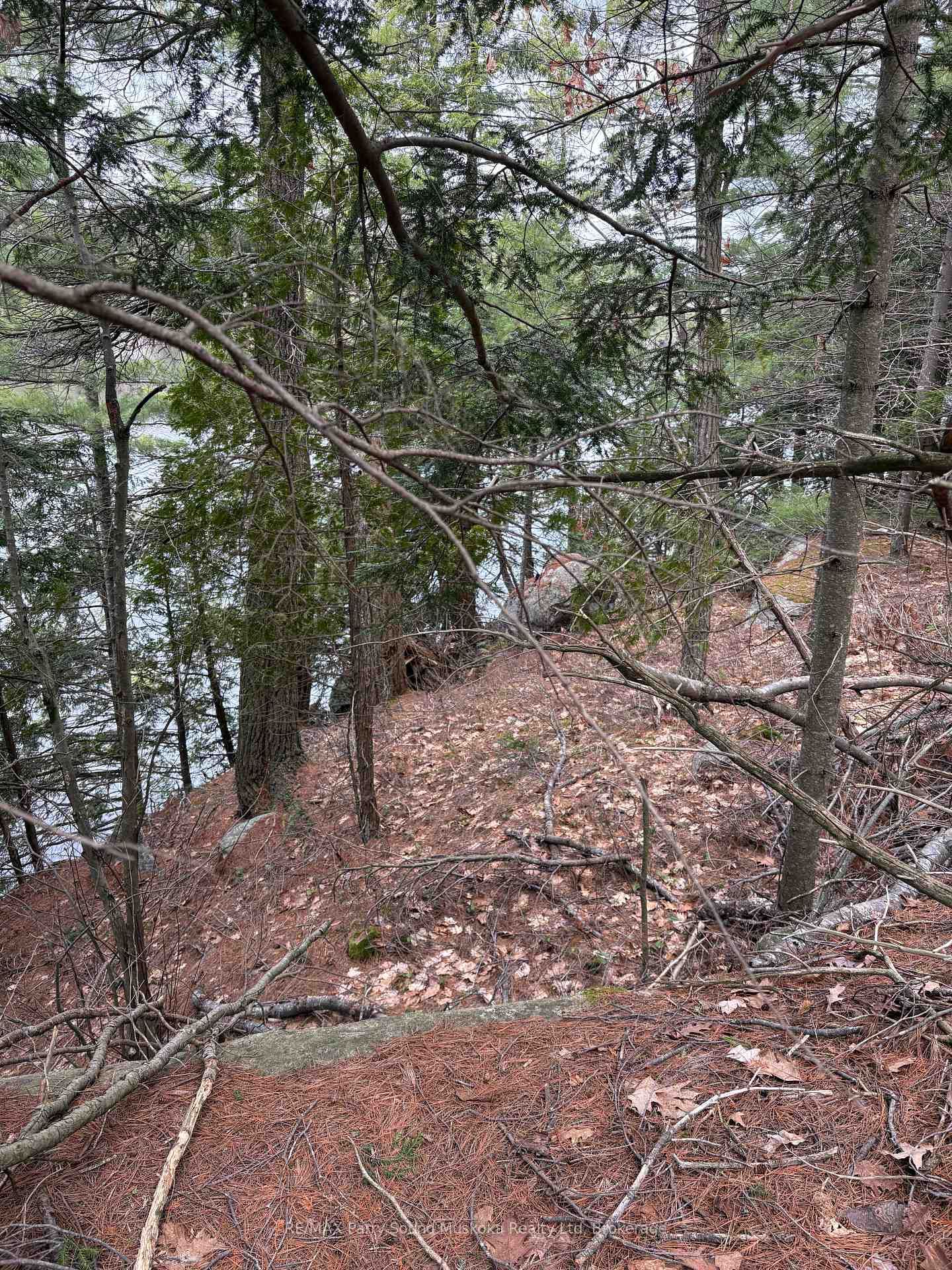 4 Wee Gee Wa Road • Seguin, ON photo 27