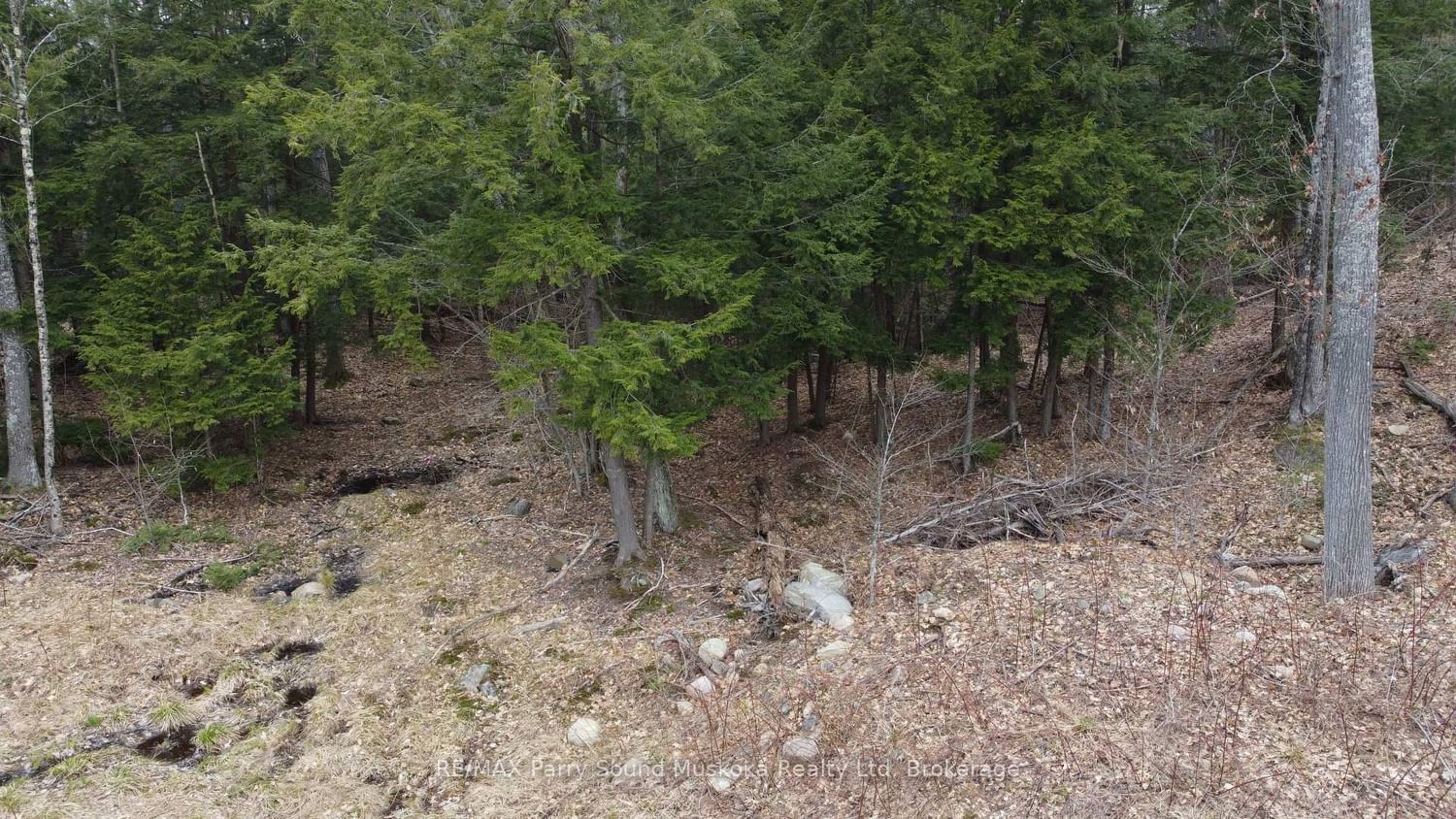 4 Wee Gee Wa Road • Seguin, ON photo 31
