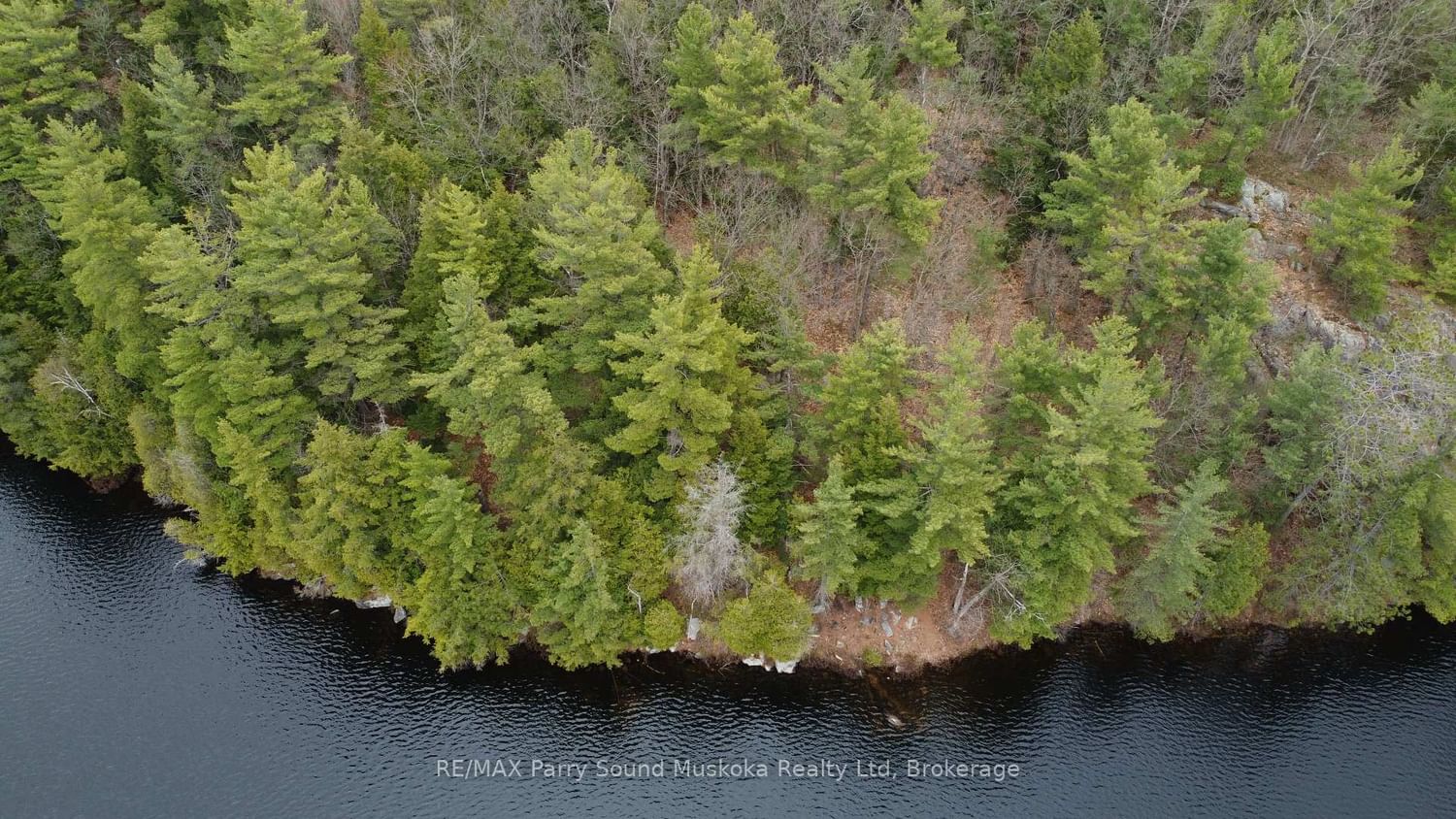 4 Wee Gee Wa Road • Seguin, ON photo 6