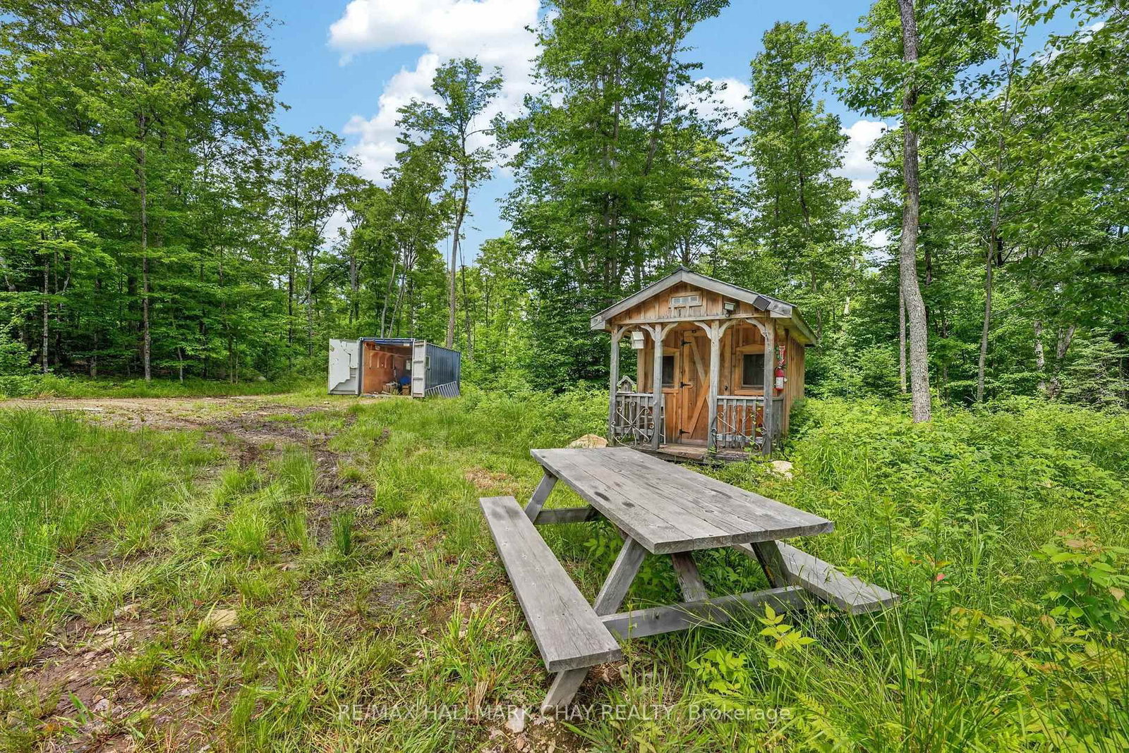 Lot 29 Concessi Franklin • Lake of Bays, ON photo 11