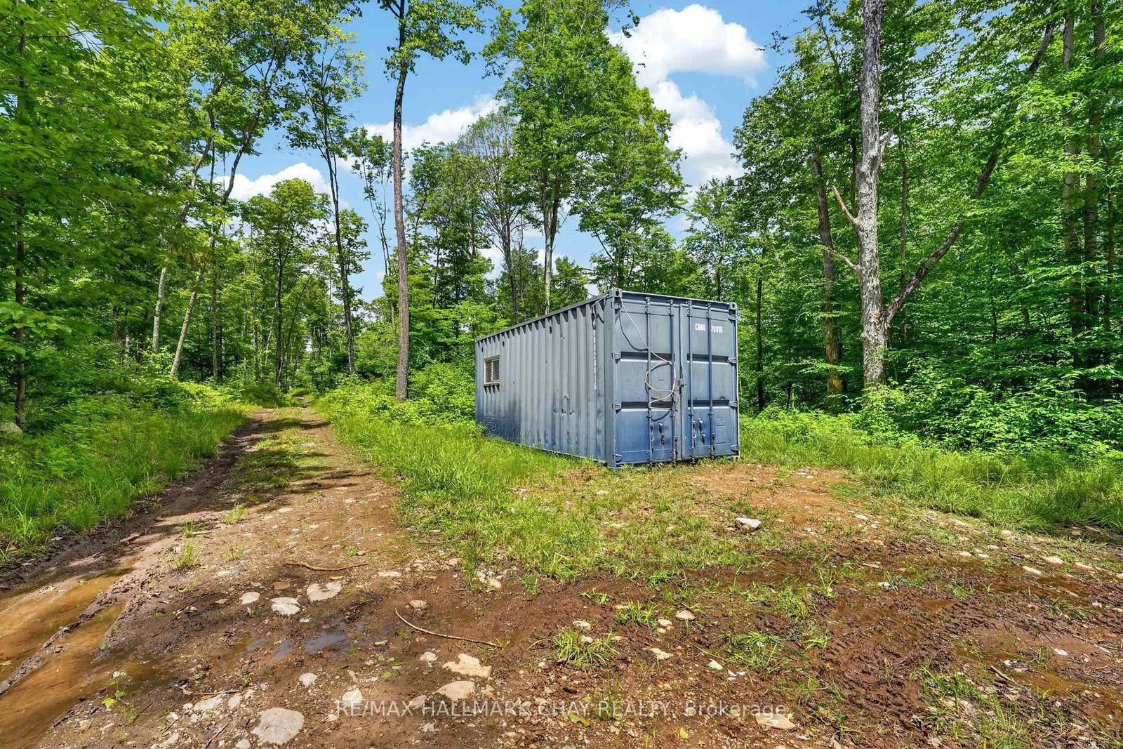 Lot 29 Concessi Franklin • Lake of Bays, ON photo 15