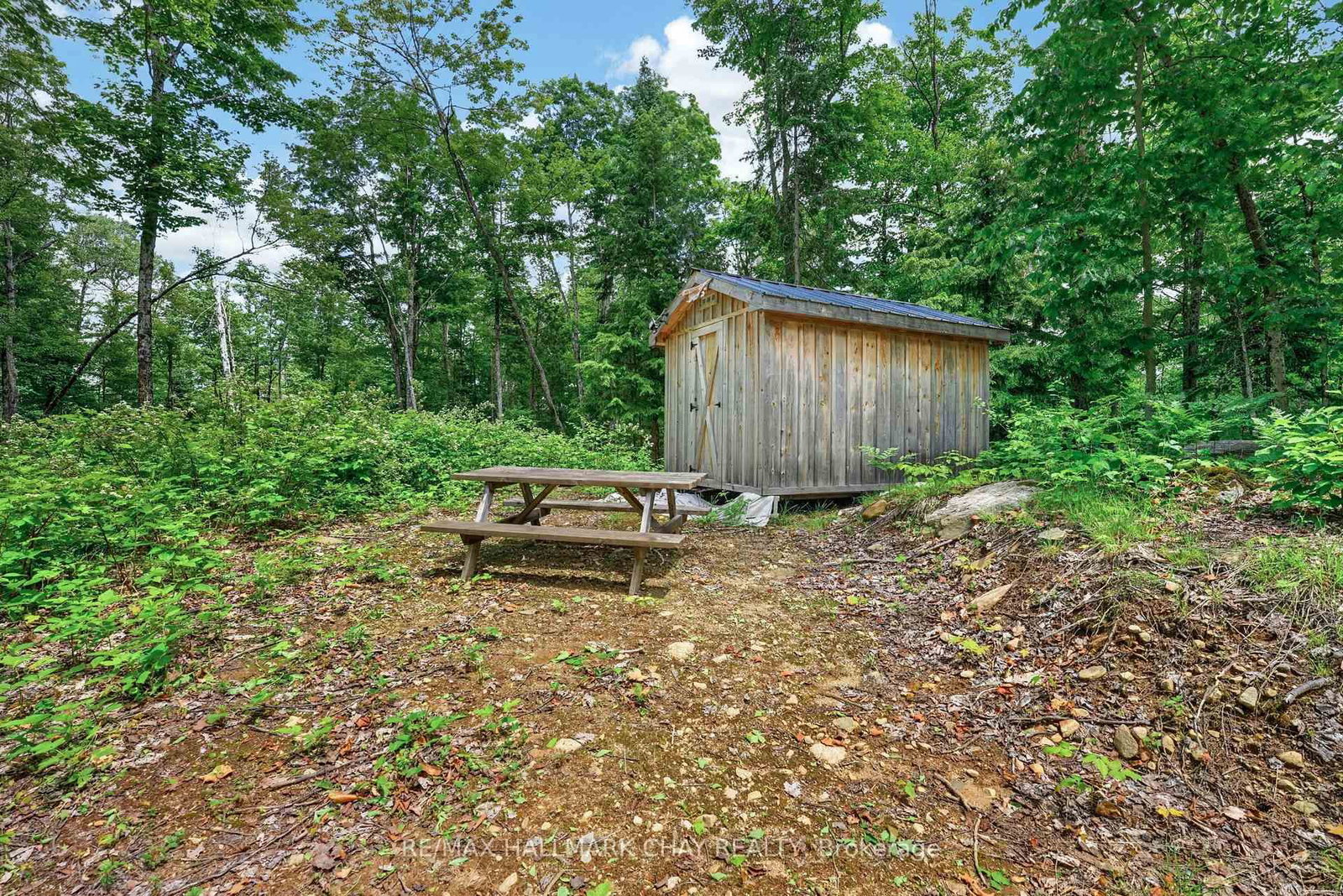 Lot 29 Concessi Franklin • Lake of Bays, ON photo 17