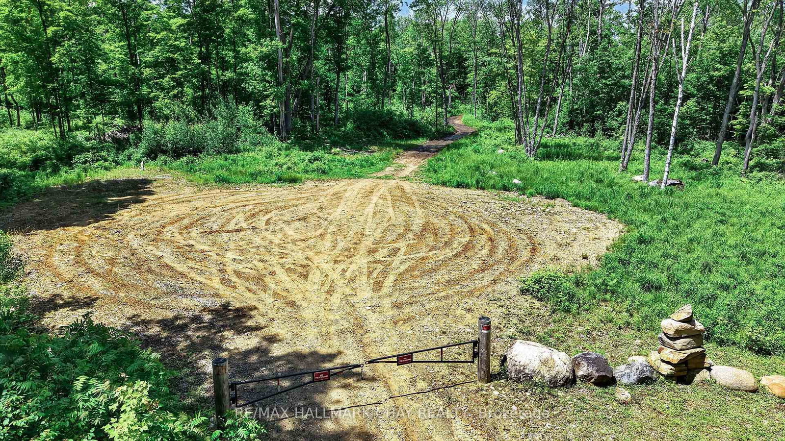 Lot 29 Concessi Franklin • Lake of Bays, ON photo 24