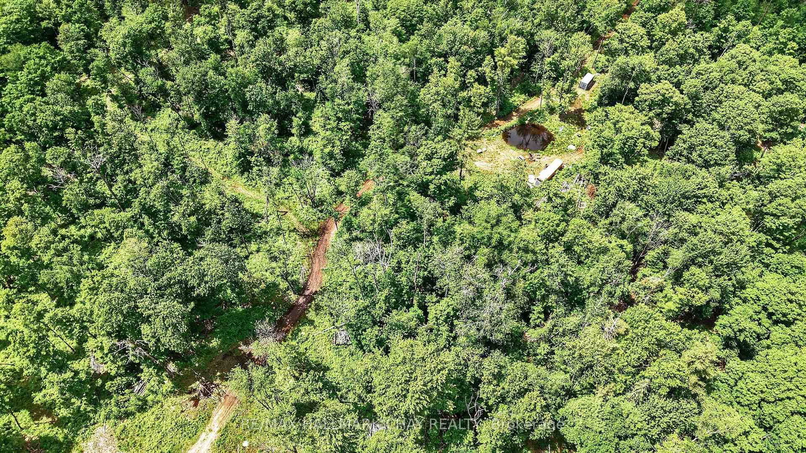 Lot 29 Concessi Franklin • Lake of Bays, ON photo 28