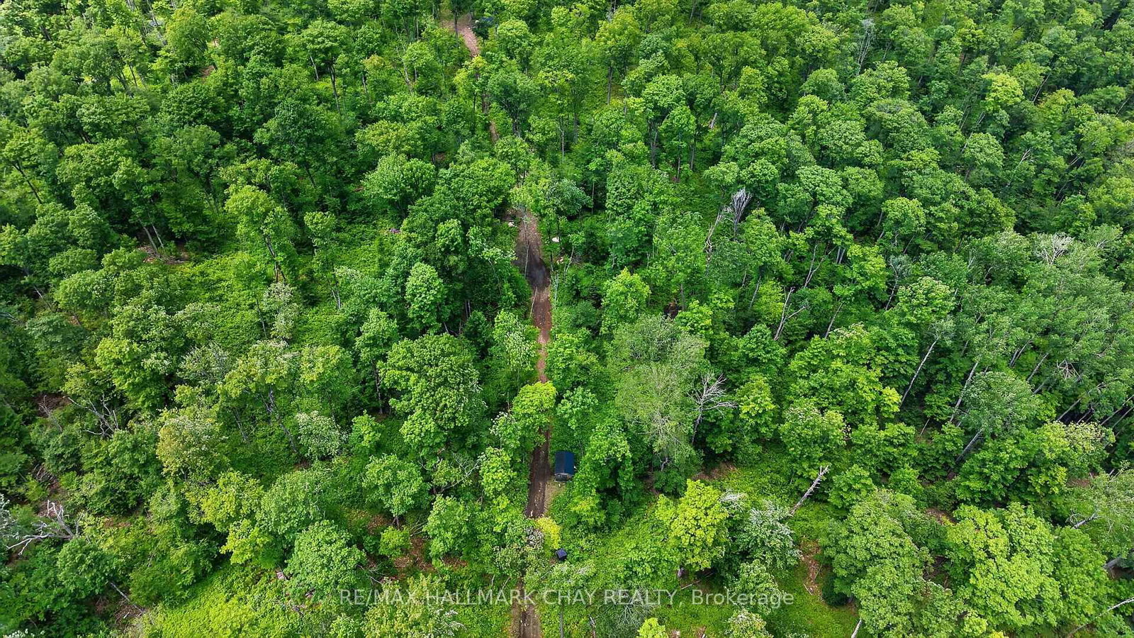 Lot 29 Concessi Franklin • Lake of Bays, ON photo 29