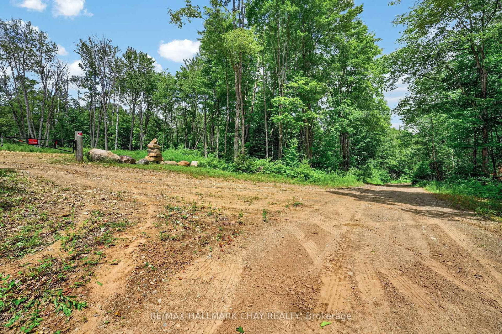 Lot 29 Concessi Franklin • Lake of Bays, ON photo 35