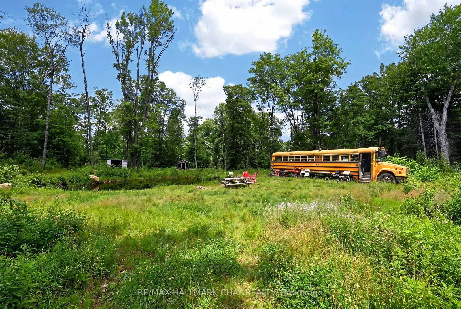 Lot 29 Concessi Franklin • Lake of Bays, ON photo 4