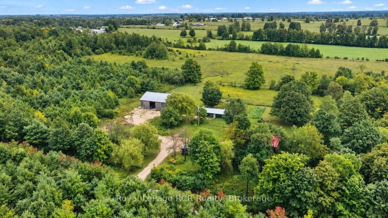 585216 Sideroad 10A • Grey Highlands, ON photo 4