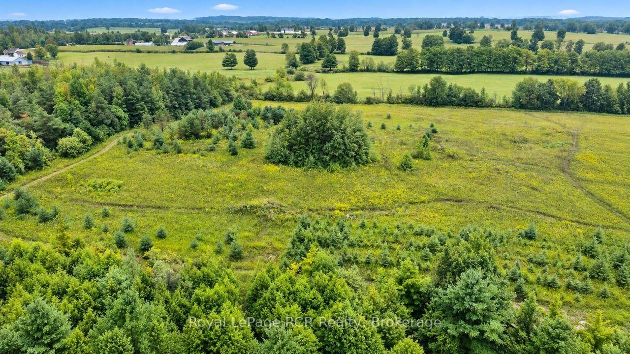 585216 Sideroad 10A • Grey Highlands, ON photo 41