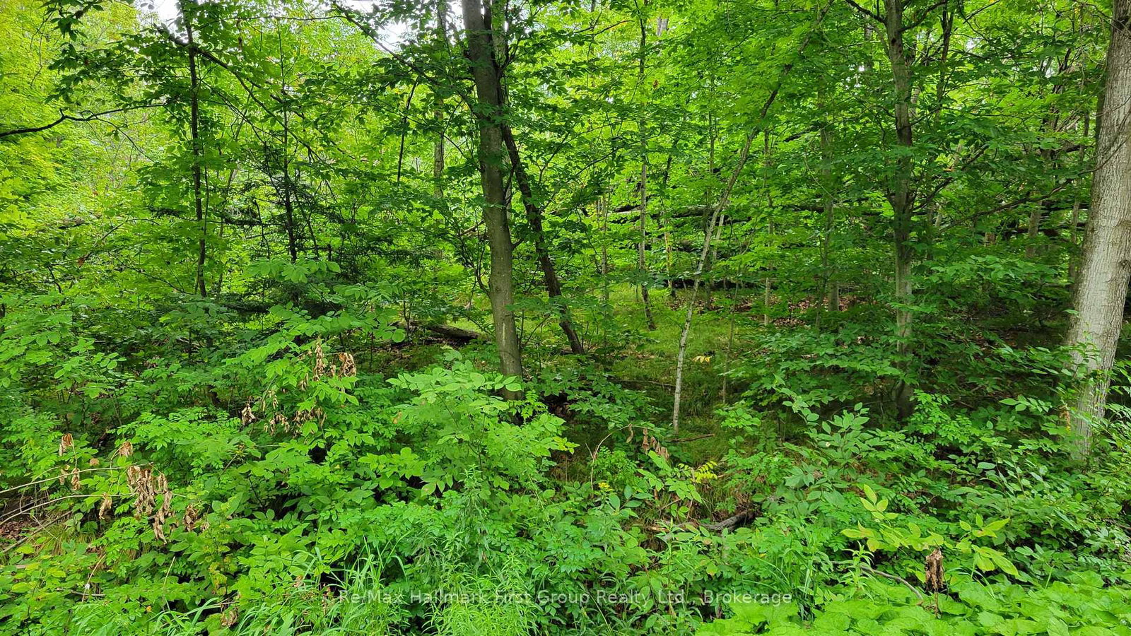 0 Black River Road N • Tweed, ON photo 10