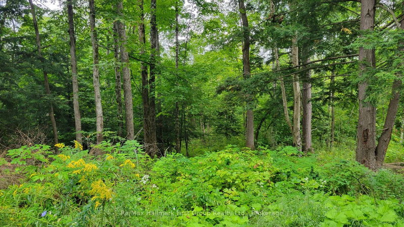 0 Black River Road N