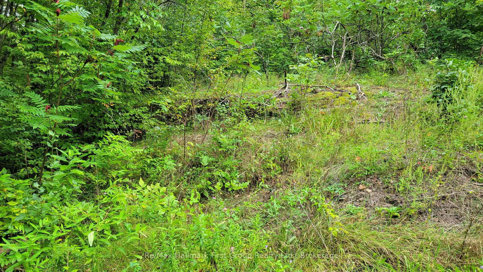 0 Black River Road N • Tweed, ON photo 6