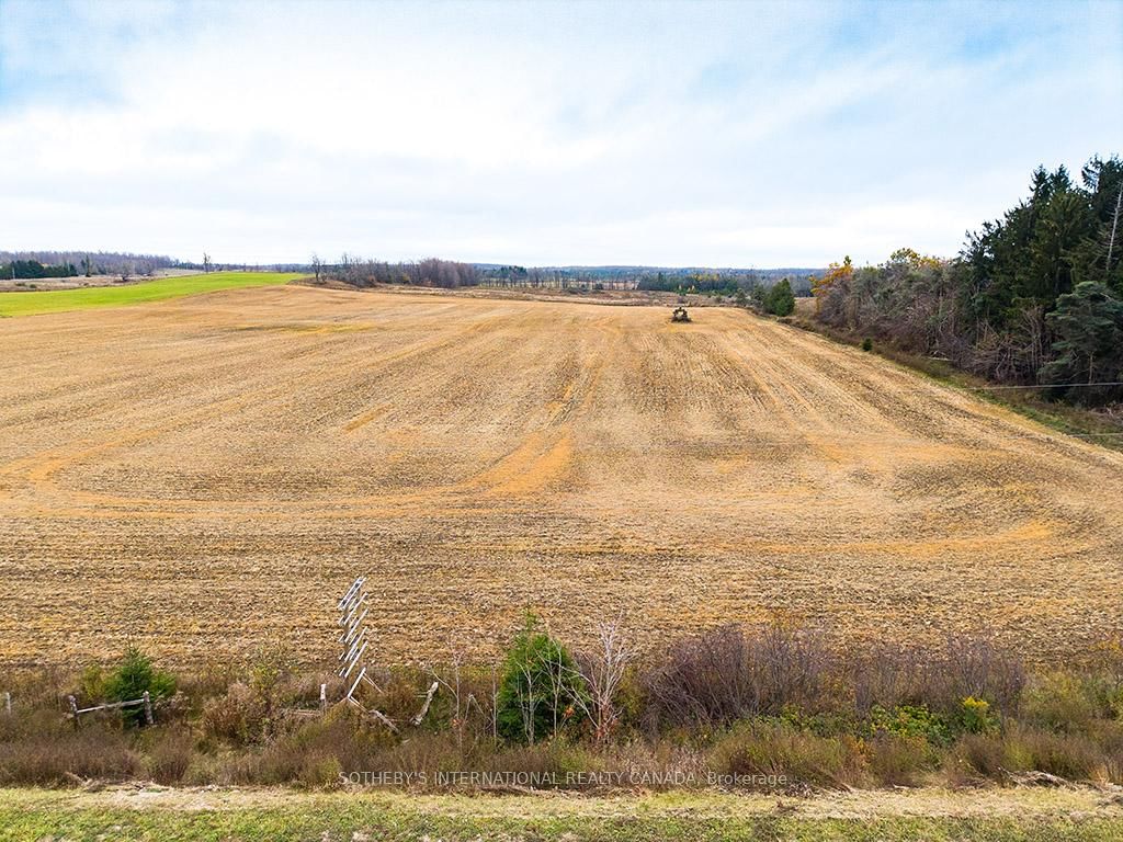 793958 Grey Road 124 • Grey Highlands, ON photo 17