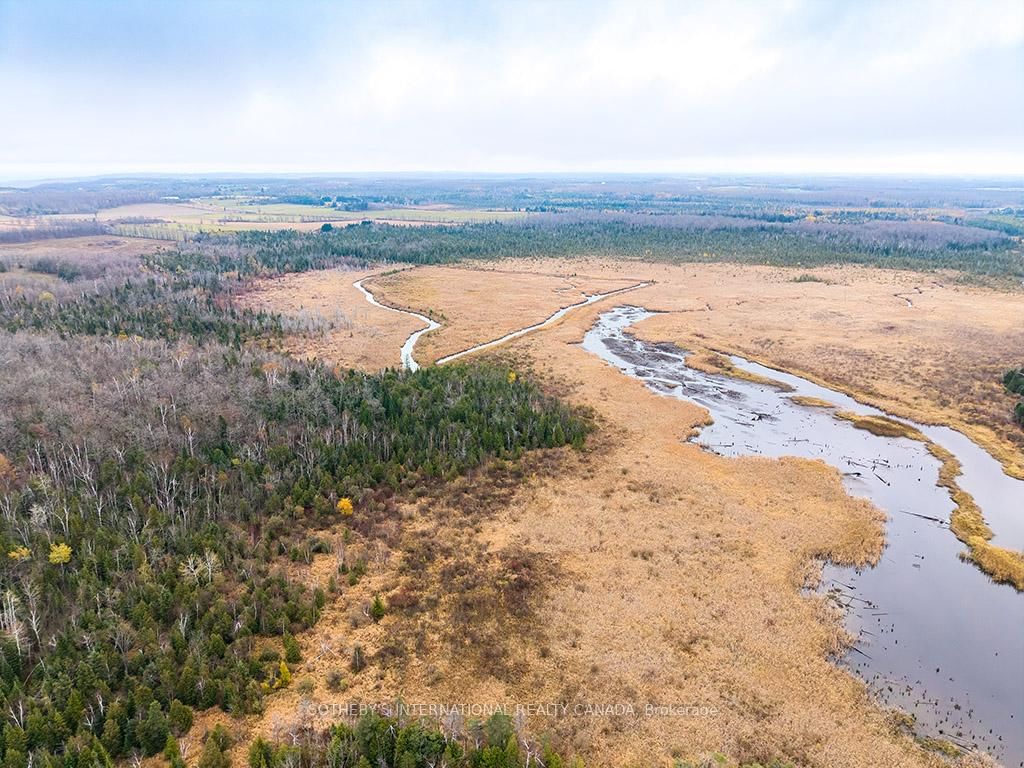 793958 Grey Road 124 • Grey Highlands, ON photo 20