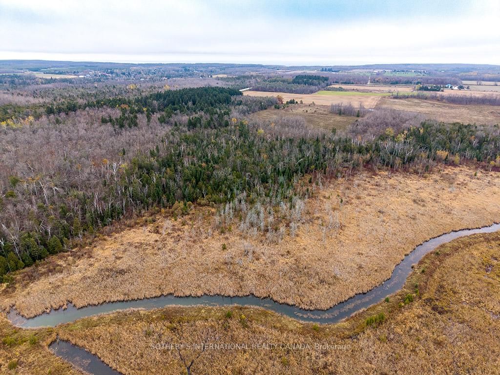 793958 Grey Road 124 • Grey Highlands, ON photo 22