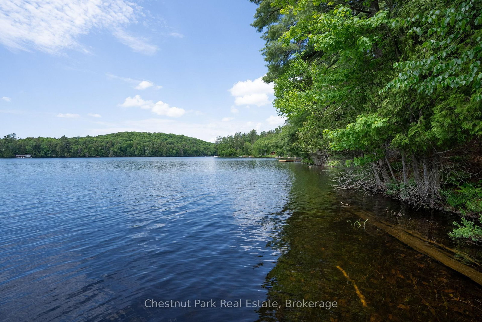 652 North Waseosa Lake Road • Huntsville, ON photo 41