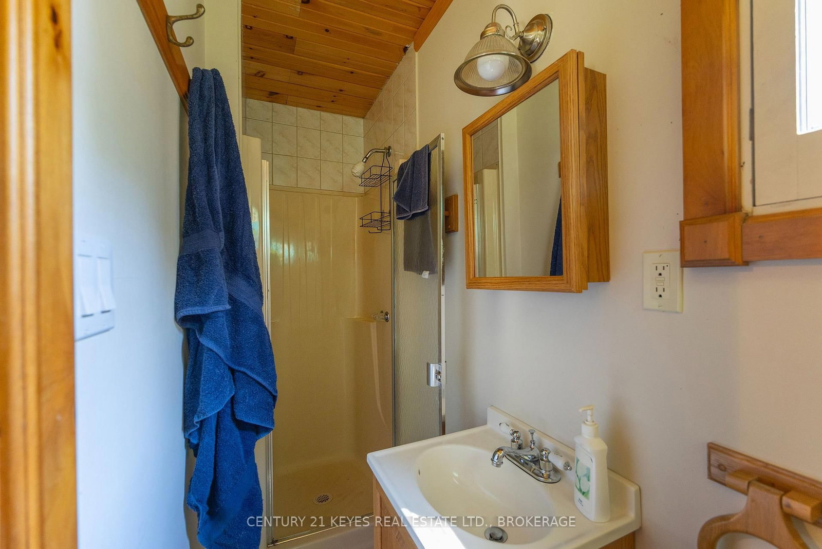 99 Tremont Park Island • Leeds and the Thousand Islands, ON photo 18