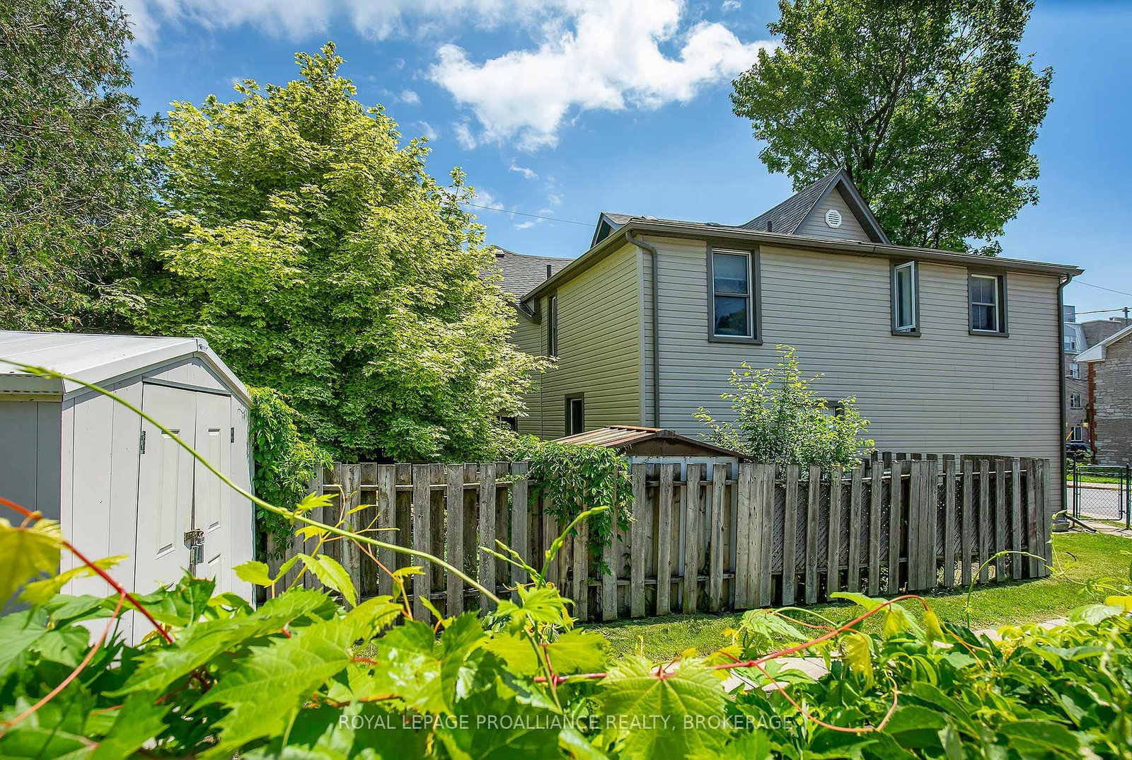 300 Sydenham Street • Kingston, ON photo 35