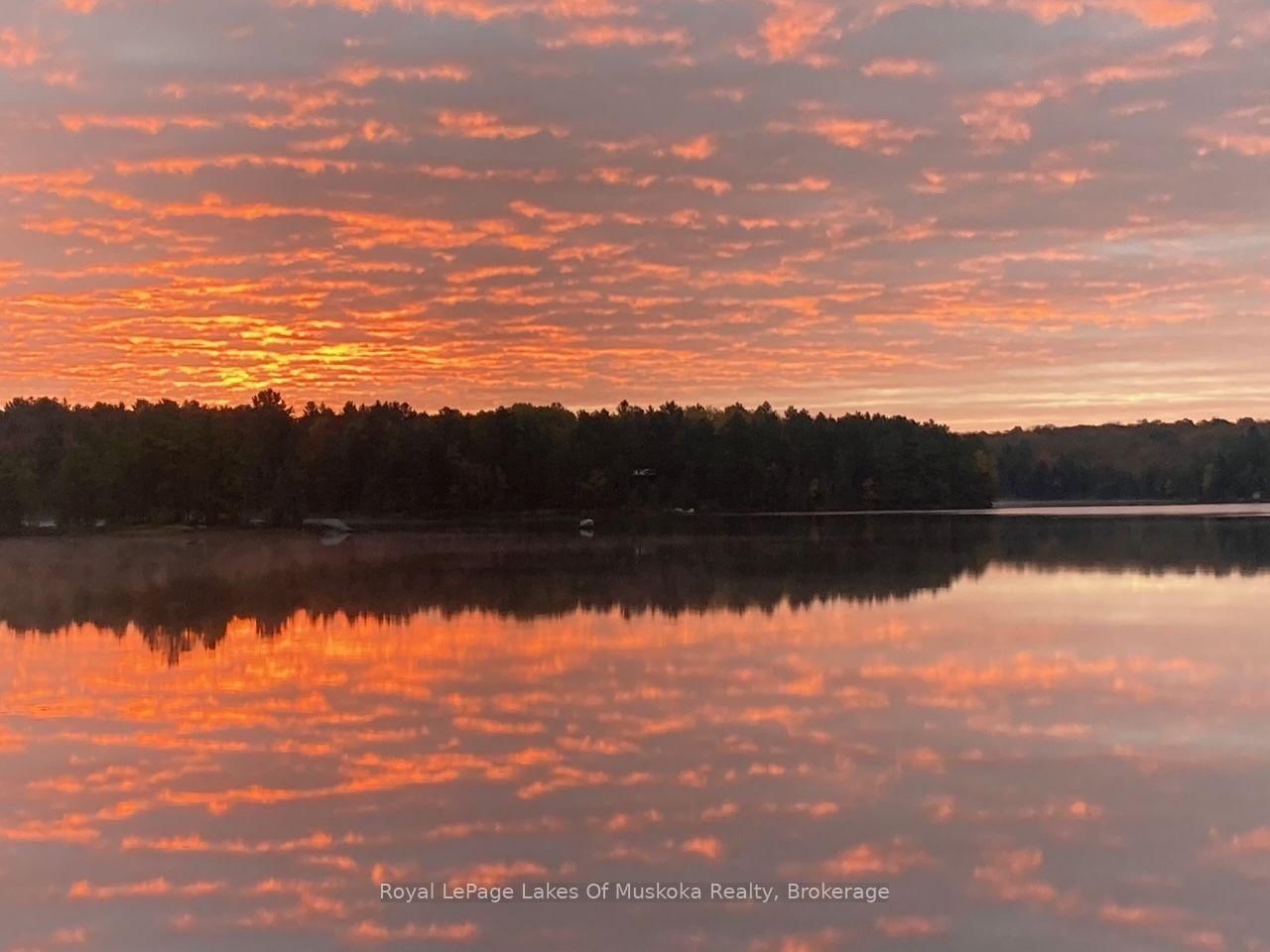1063 Dickie lake Road • Lake of Bays, ON photo 3