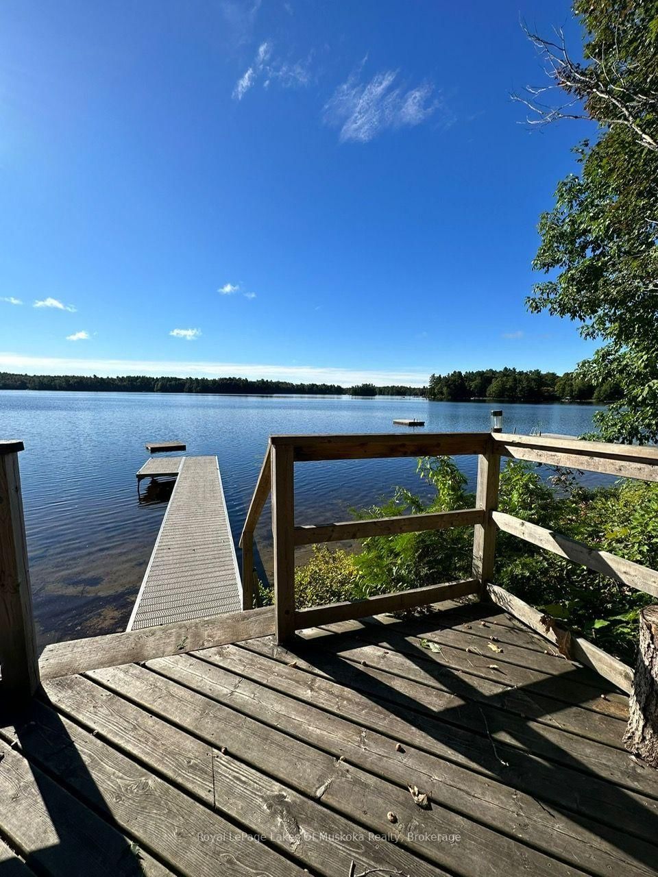 1063 Dickie lake Road • Lake of Bays, ON photo 5