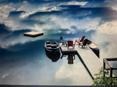 1063 Dickie lake Road • Lake of Bays, ON photo 8