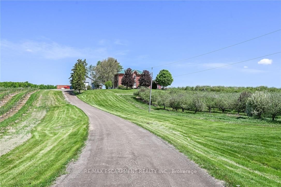 903 Concession 13 Townsend Road • Norfolk, ON photo 47