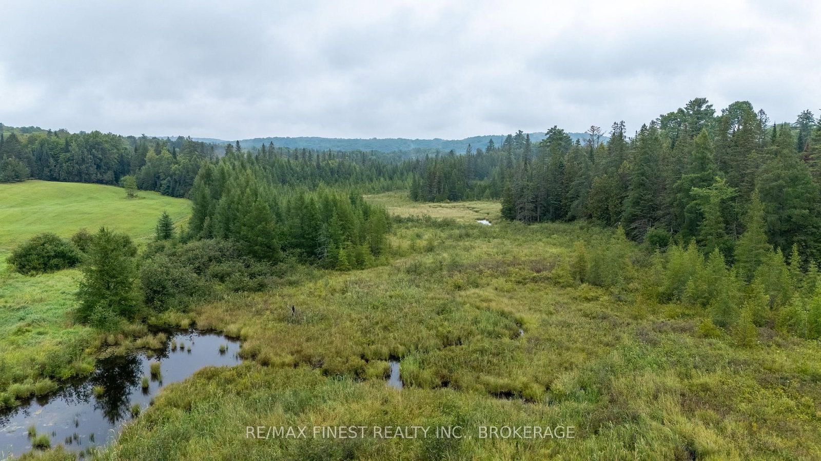 1177 Mountain Road • Plevna, ON photo 39