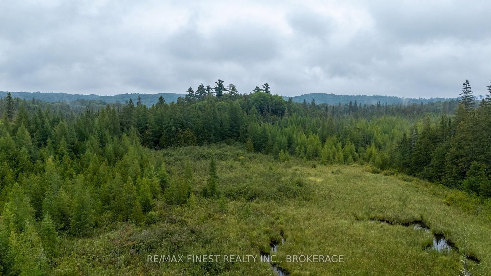 1177 Mountain Road • Plevna, ON photo 40