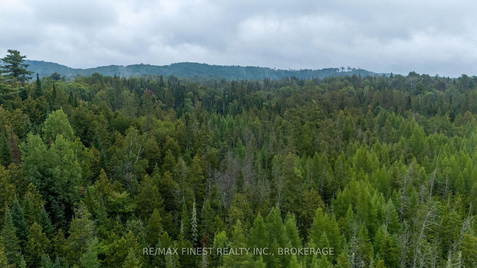 1177 Mountain Road • Plevna, ON photo 41