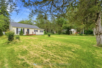 977 County Rd 38 • Trent Hills, ON photo 4