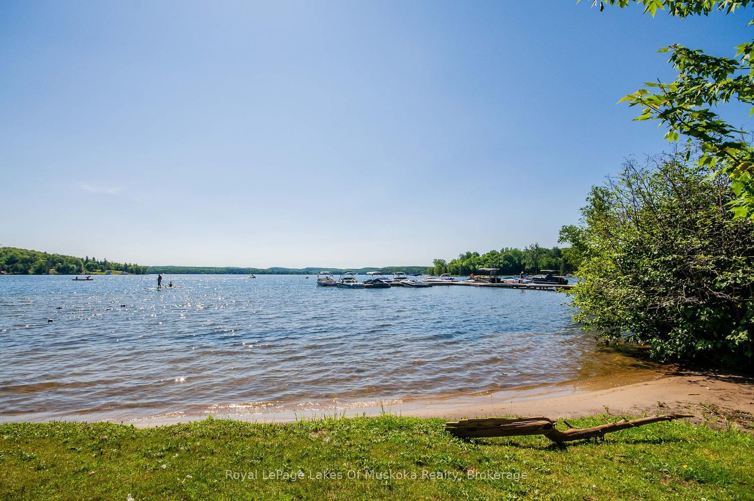 1616 Skyline Drive • Huntsville, ON photo 43