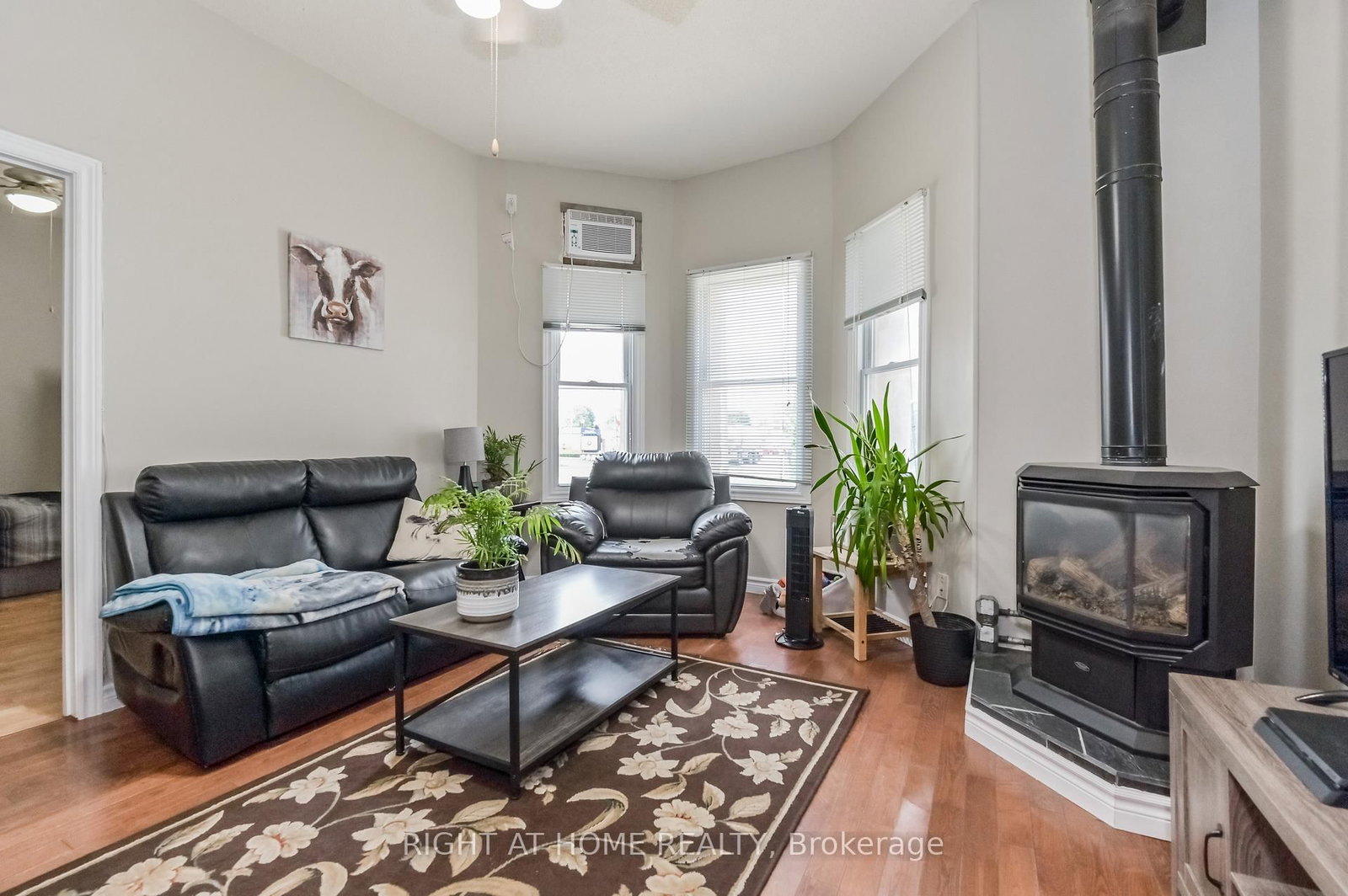 213 Main Street E • Minto, ON photo 16