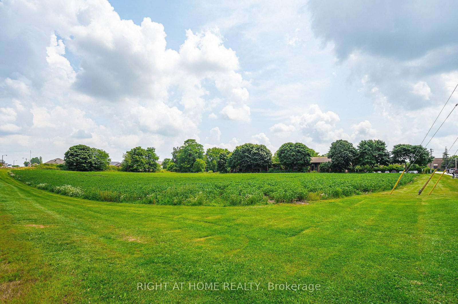 20 Part Lot Con 1 • Minto, ON photo 4
