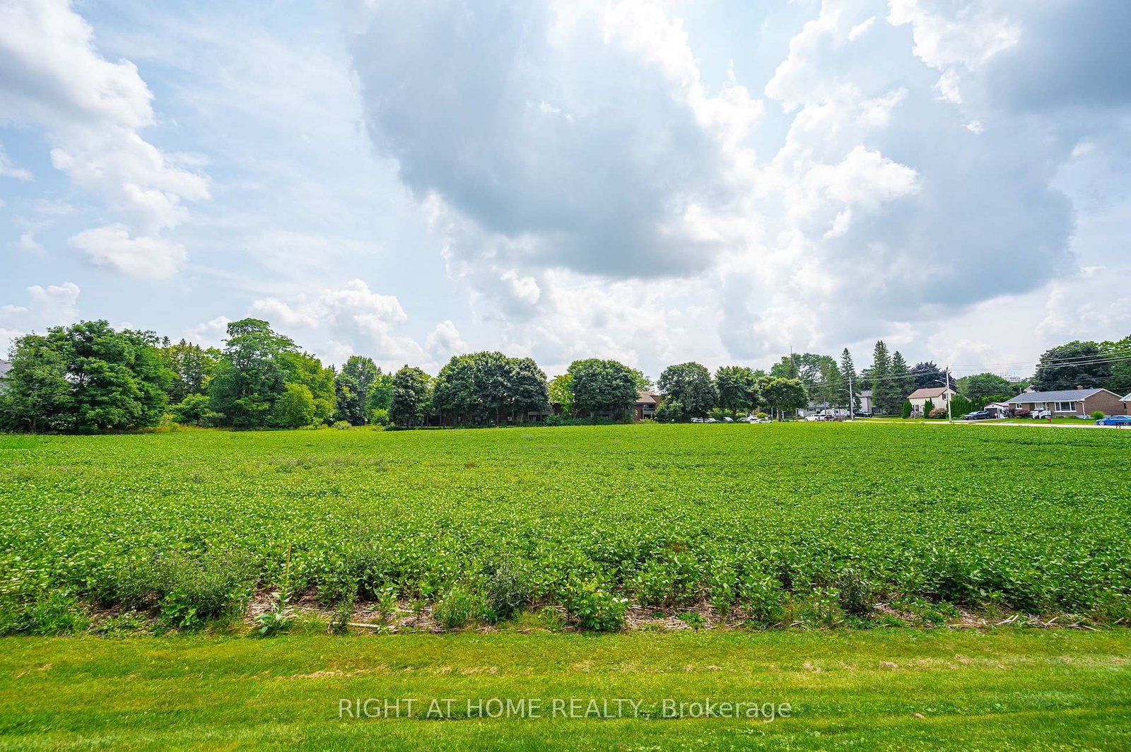 20 Part Lot Con 1 • Minto, ON photo 5