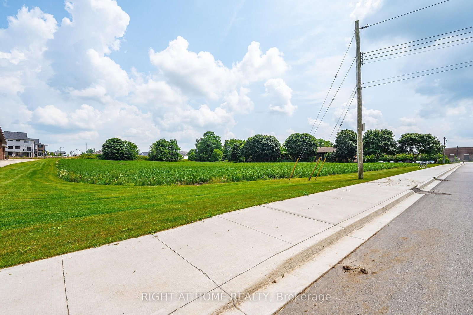 20 Part Lot Con 1 • Minto, ON photo 6