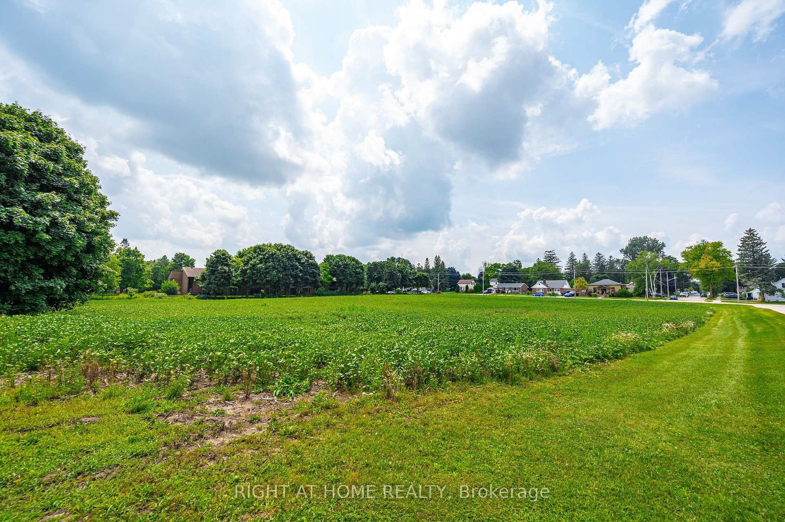 20 Part Lot Con 1 • Minto, ON photo 9
