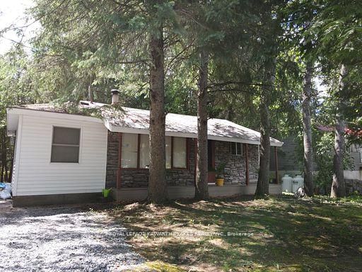 81 McGuire Beach Road • Kawartha Lakes, ON photo 11
