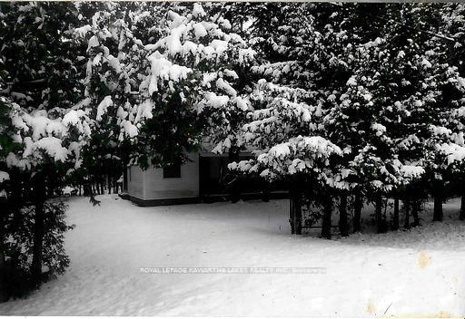 81 McGuire Beach Road • Kawartha Lakes, ON photo 14