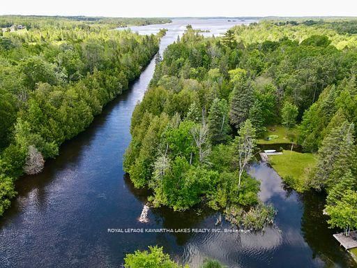 81 McGuire Beach Road • Kawartha Lakes, ON photo 4