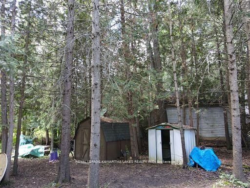 81 McGuire Beach Road • Kawartha Lakes, ON photo 43