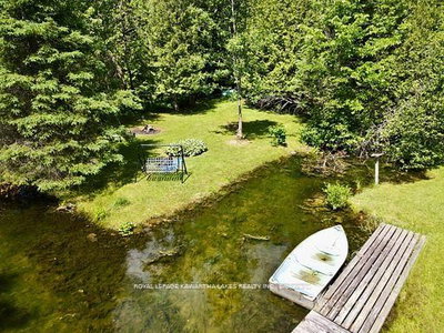 81 McGuire Beach Road • Kawartha Lakes, ON photo 5