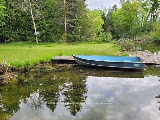 81 McGuire Beach Road • Kawartha Lakes, ON photo 6