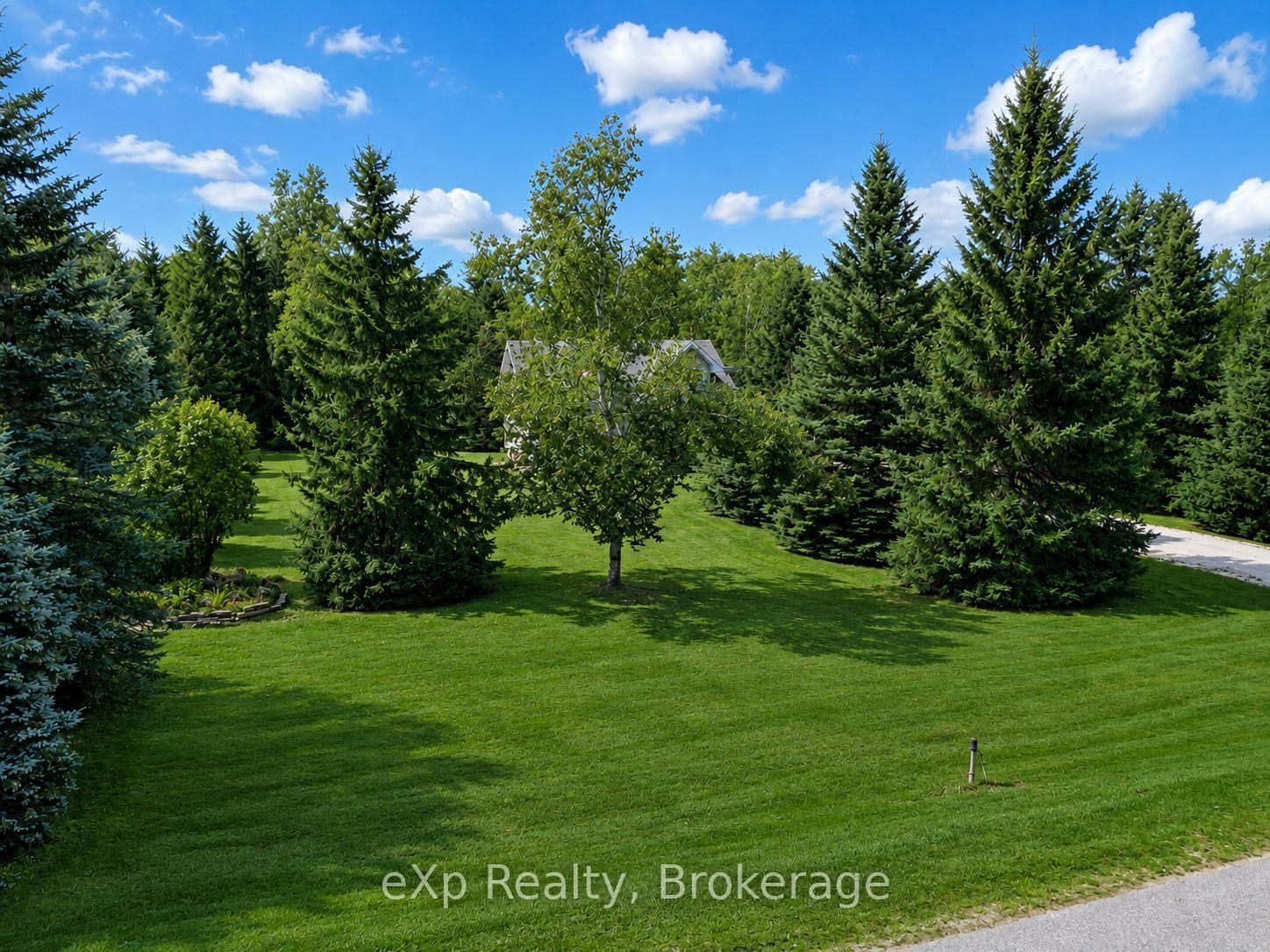 271 River Road • Grey Highlands, ON photo 35