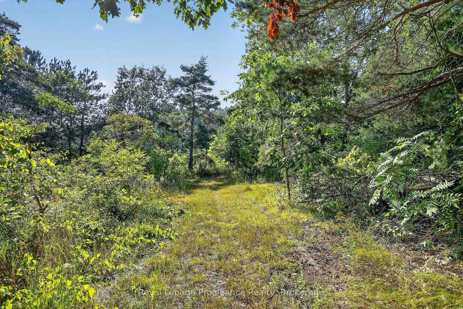 70 Simpson Street • Brighton, ON photo 33