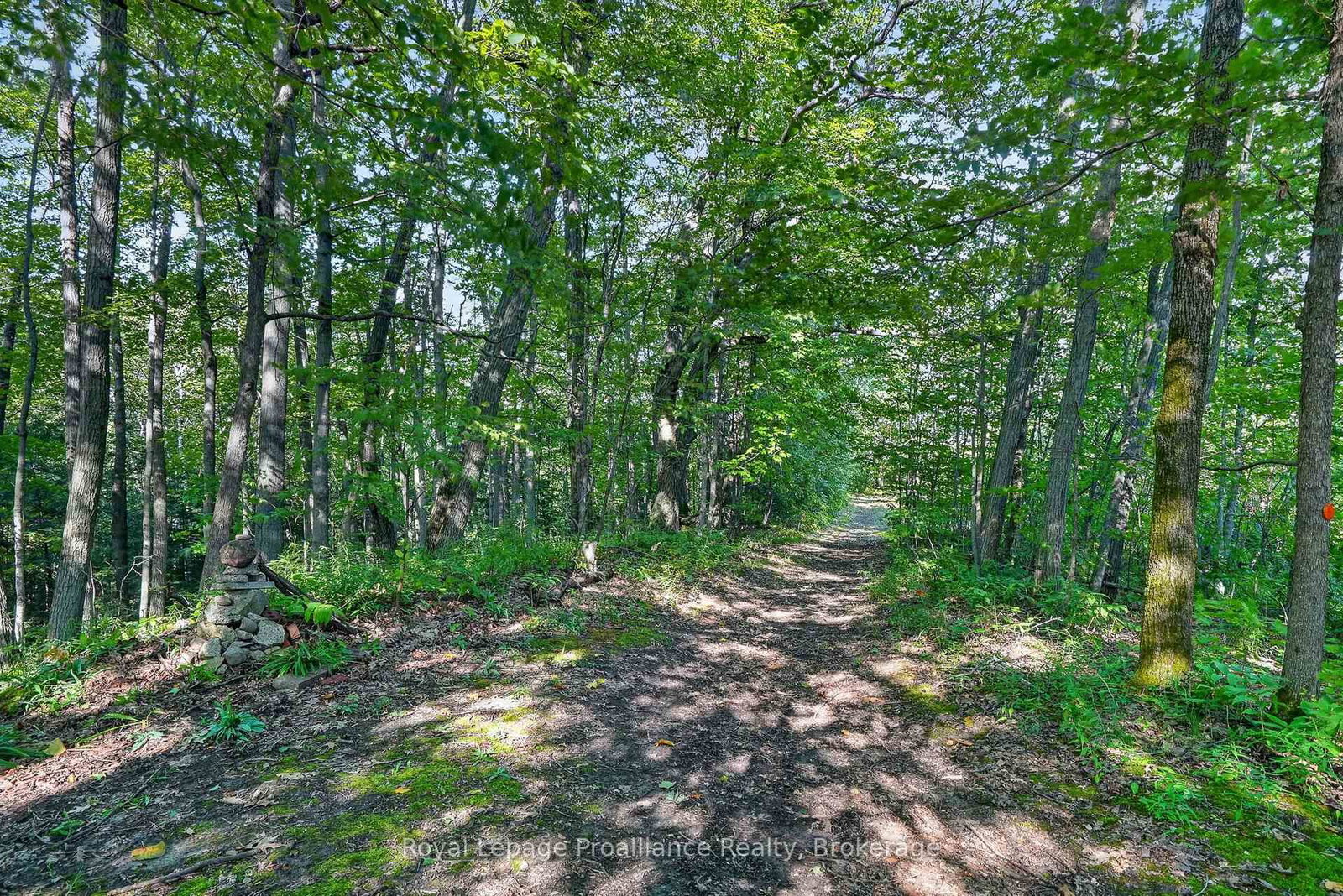 70 Simpson Street • Brighton, ON photo 34