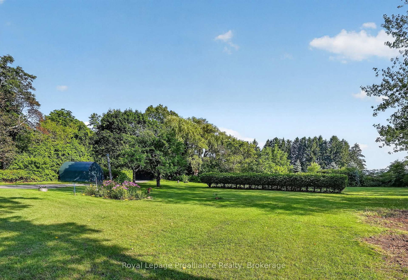 70 Simpson Street • Brighton, ON photo 6