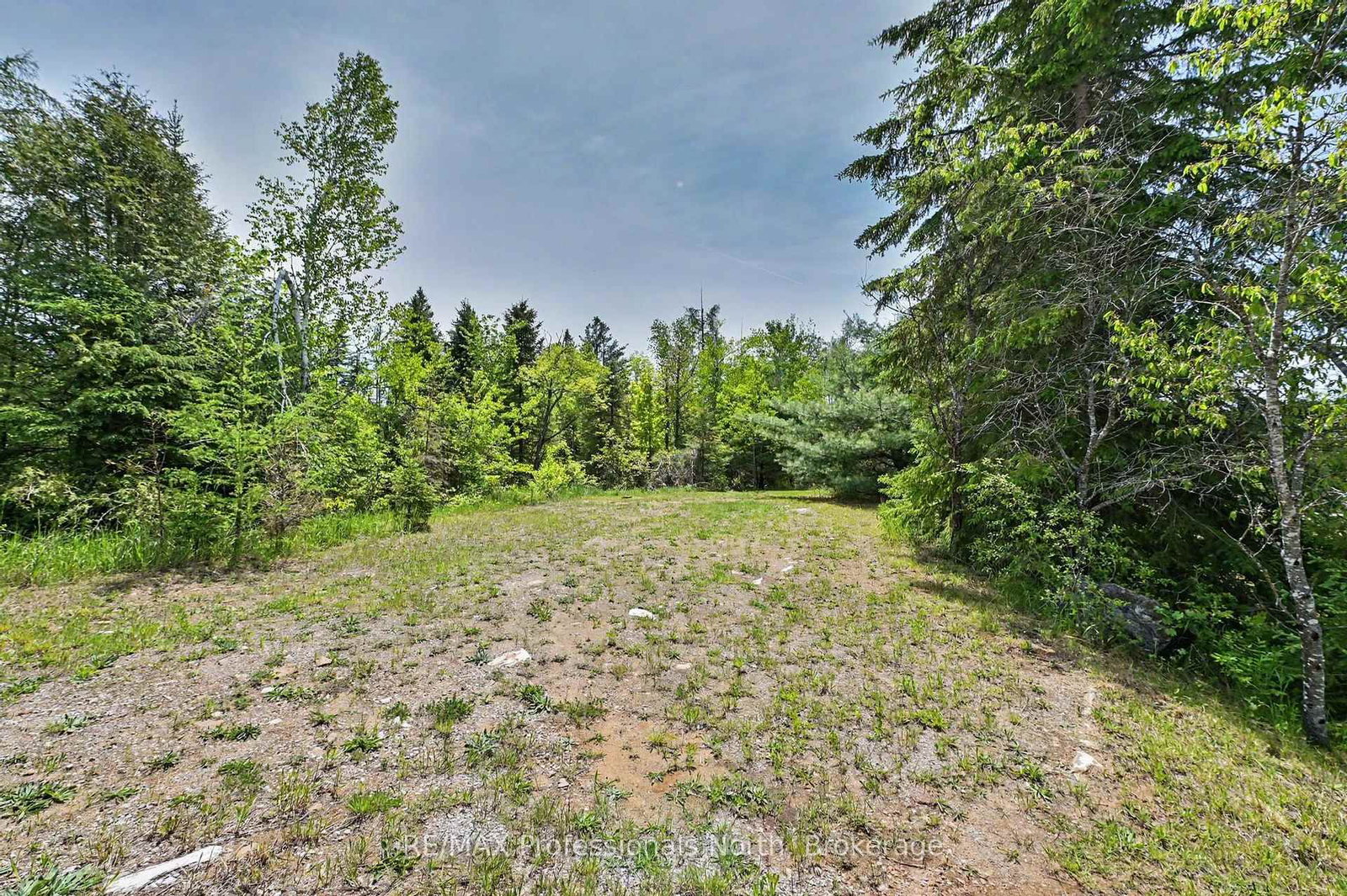 3186 COUNTY ROAD 121 Road • Trent Lakes, ON photo 39